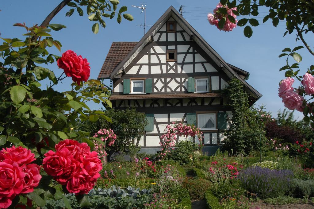 Pflugwirts Hotel Und Gasthaus Oberkirch  Exterior photo